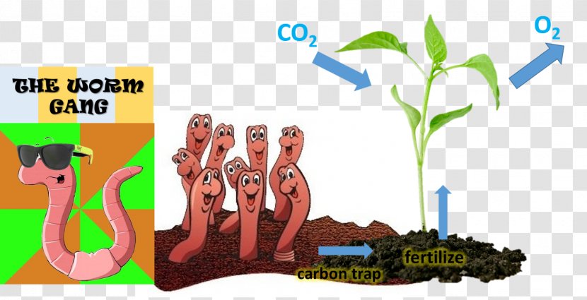 Earthworm Soil Carbon Dioxide Environmental Education - Grass - Nature Transparent PNG