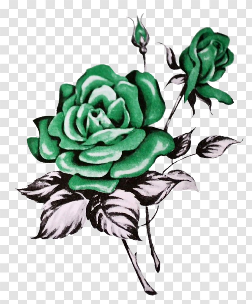 Garden Roses Cabbage Rose Floral Design - Plant Transparent PNG