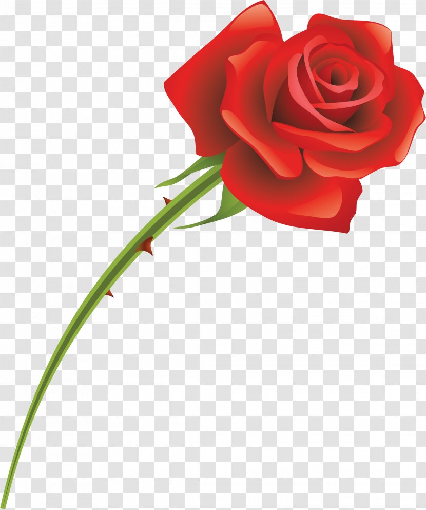Cut Flowers Garden Roses Red - Rose Transparent PNG