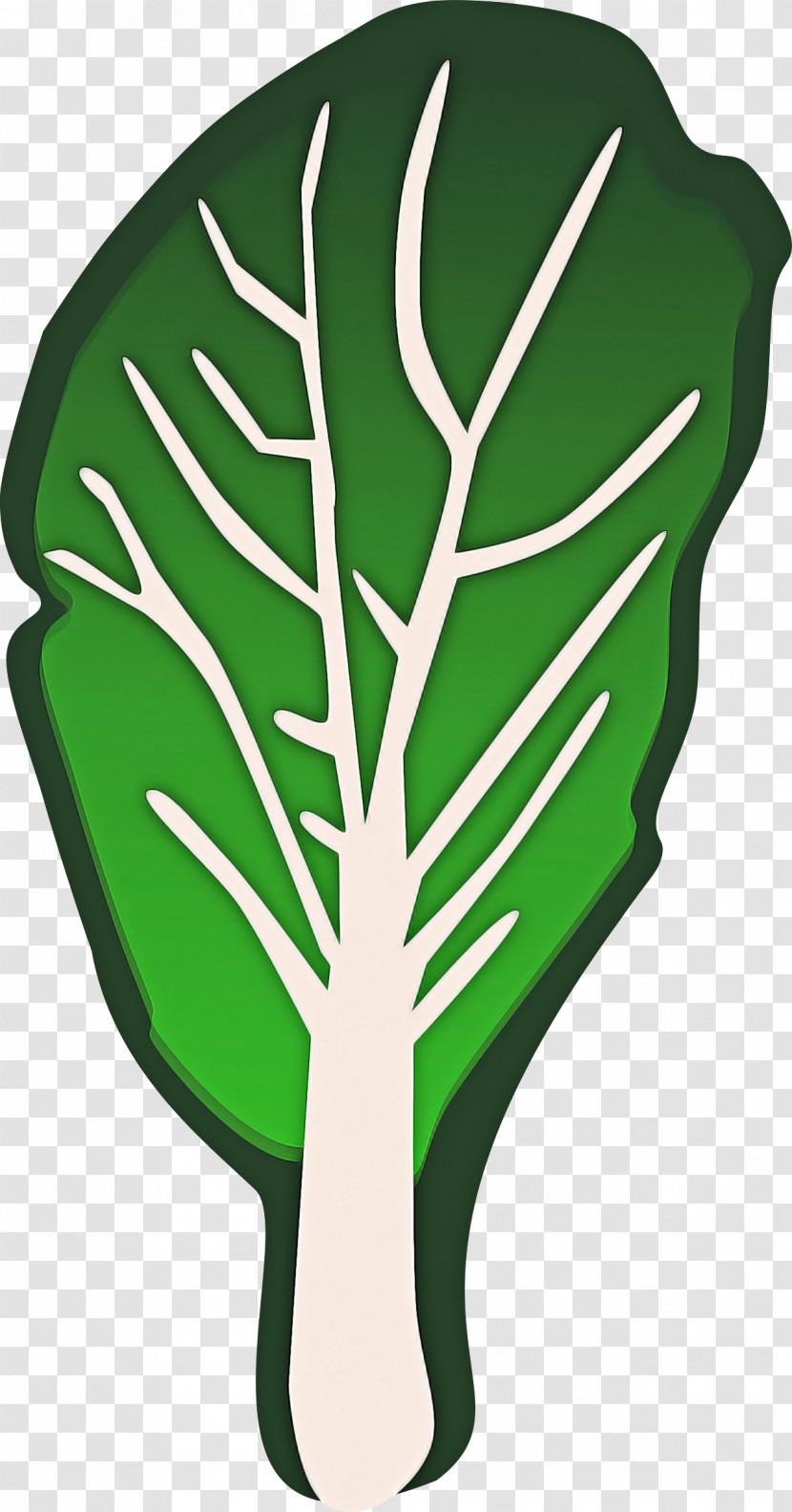 Green Leaf Monstera Deliciosa Plant Leaf Vegetable Transparent PNG