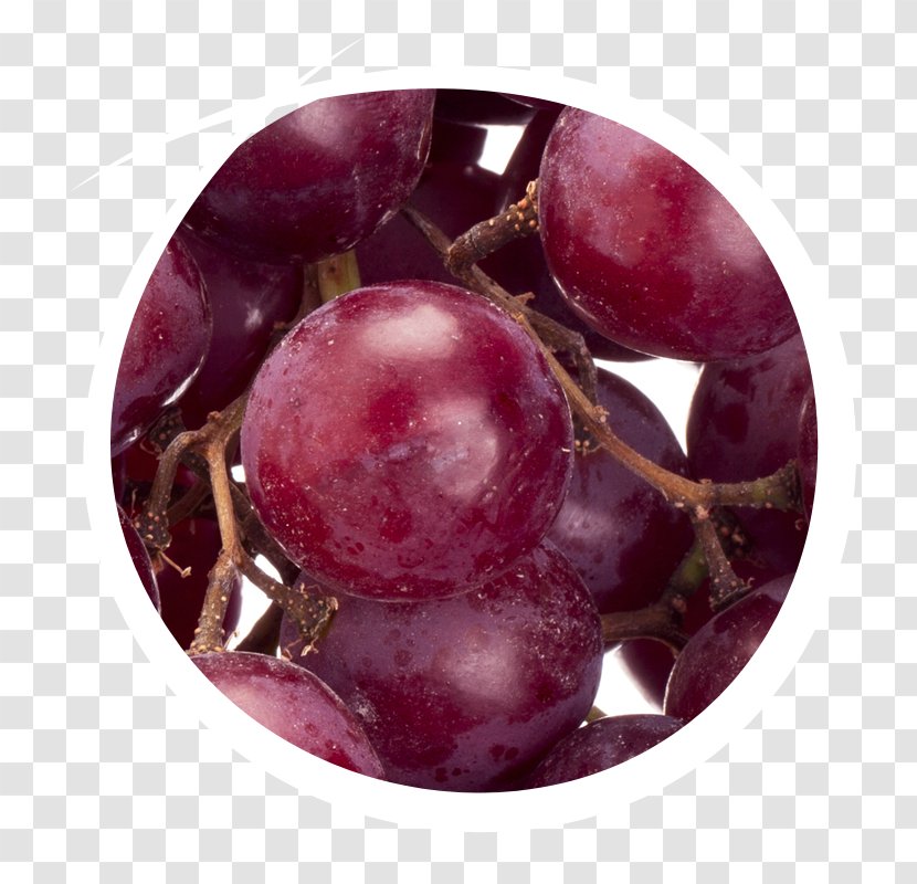 Grape Seed Oil Antioxidant Vitamin E - Flavonoid Transparent PNG
