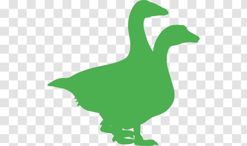 Domestic Goose Duck - Bird - Silhouette Farm Animal Transparent PNG