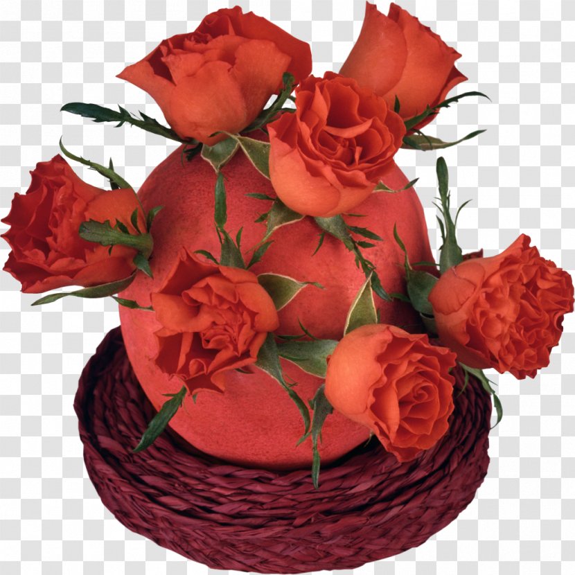 Flower Garden Roses Clip Art - Flowering Plant - Rose Transparent PNG