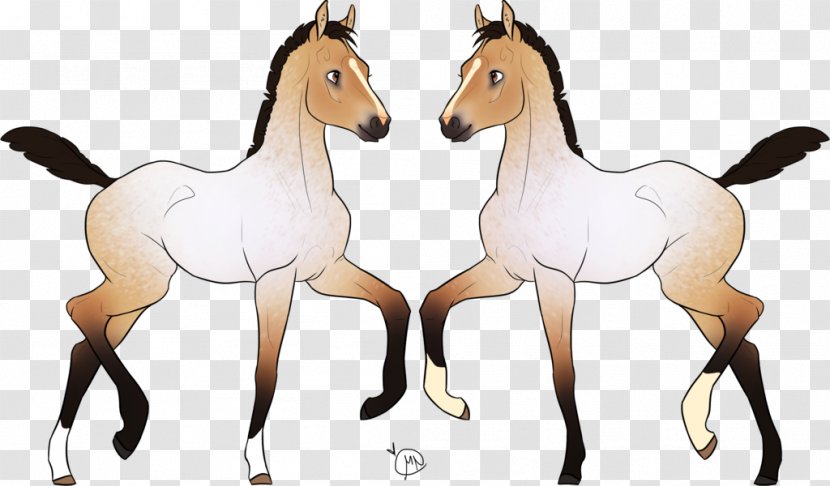 Mustang Foal Mare Colt Stallion - Halter Transparent PNG