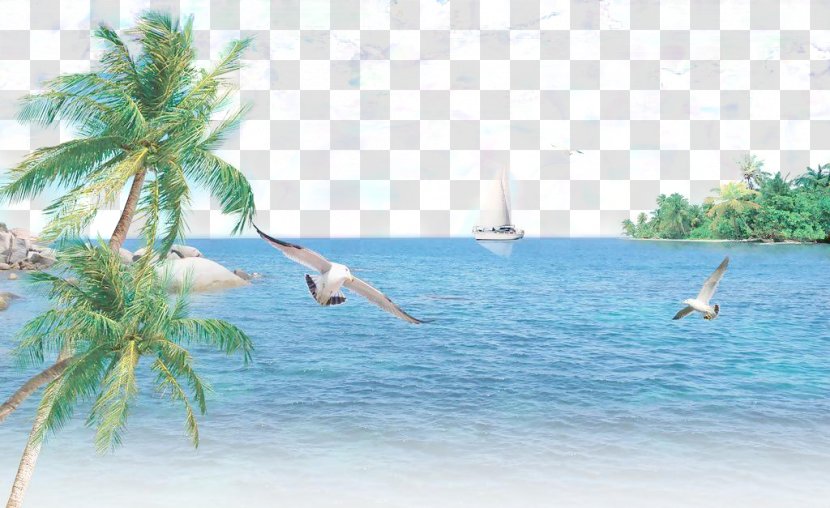 Sea Tree Coconut - Nature - Blue Sky Transparent PNG
