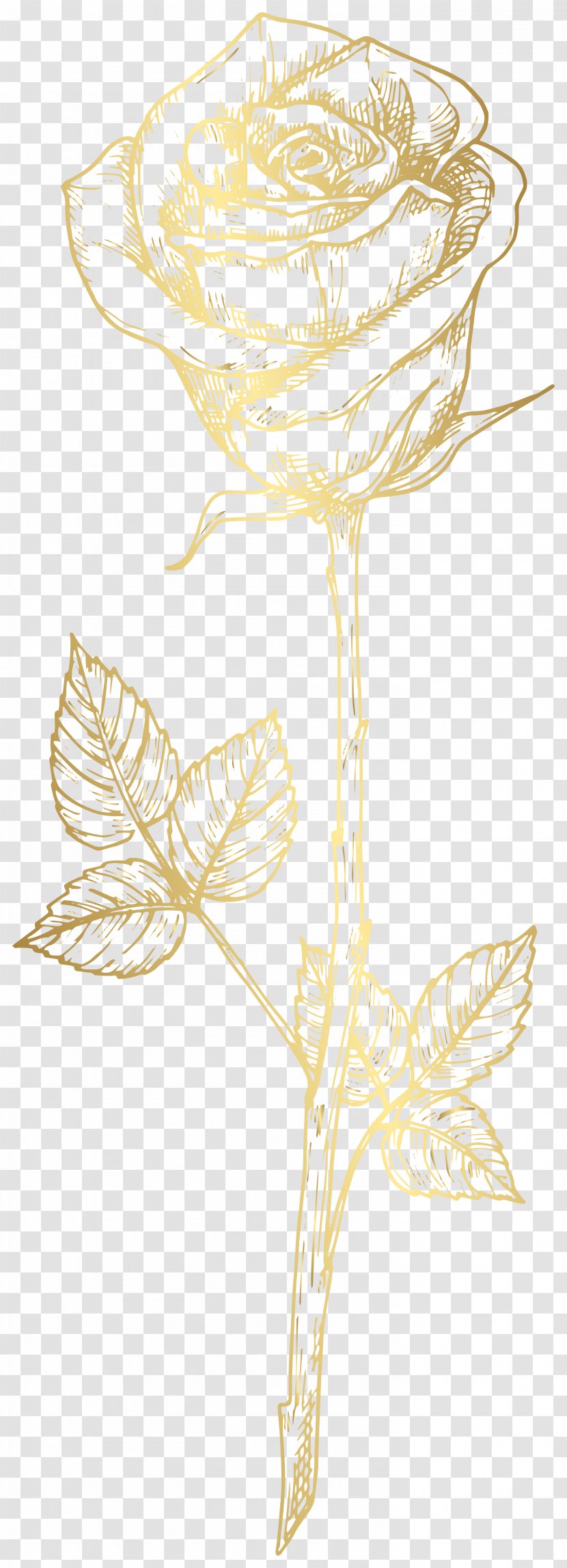 Image Clip Art Floral Design Illustration - Rose - Gold Watch Transparent PNG