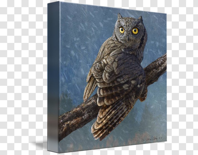 Owl Totem Beak Feminine Intuition Age Of Enlightenment - Dream Transparent PNG