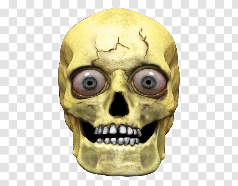 Human Skull Symbolism Head Skeleton - Mouth Transparent PNG