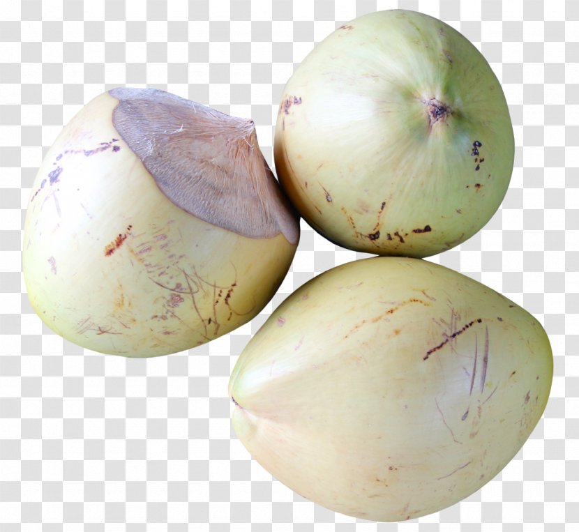 Coconut Chevrolet - Produce - Top View Of Transparent PNG