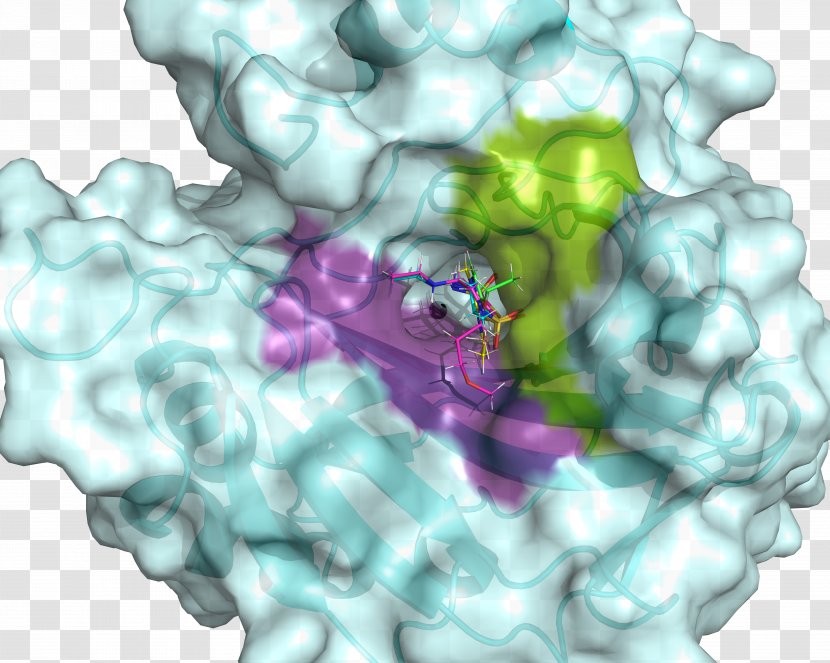 Biochemistry Hydrophobe Doctor Of Philosophy Research Science Transparent PNG