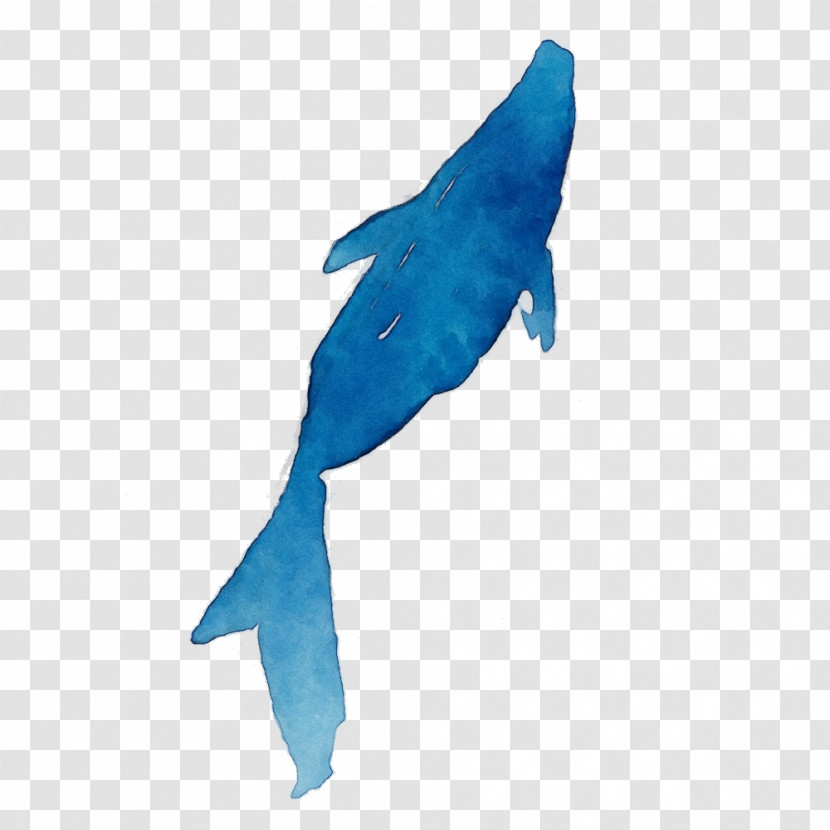 Fin Turquoise Fish Fish Dolphin Transparent PNG