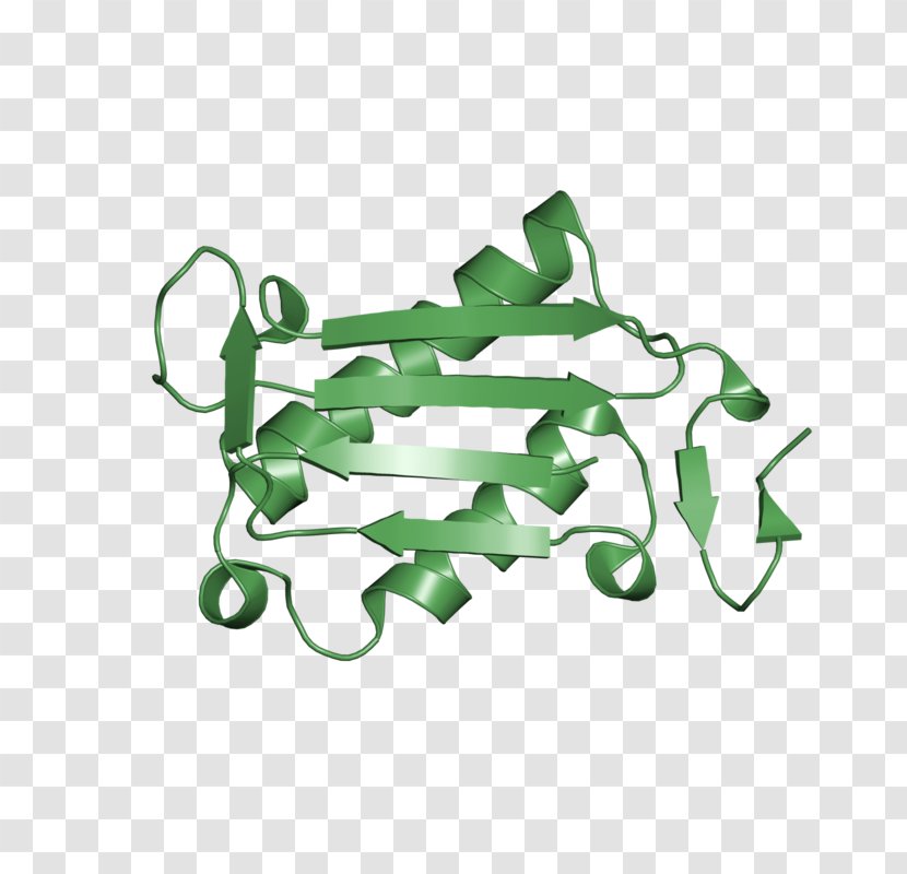 Product Design Clip Art Line - Green - Macrophage Insignia Transparent PNG