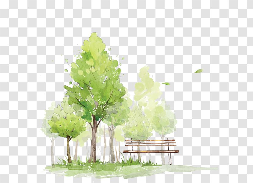 How To Paint Trees In Watercolor Painting Sketch - Leaf Transparent PNG