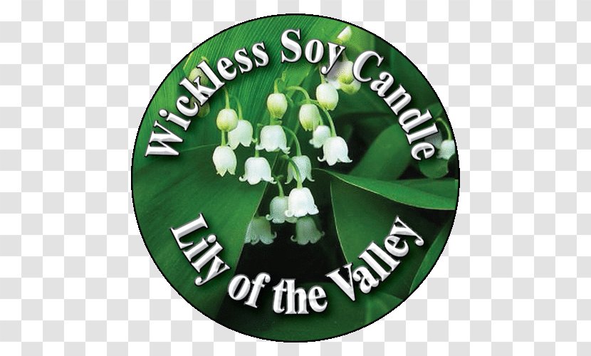 Green Flower Lily Of The Valley Candle Transparent PNG