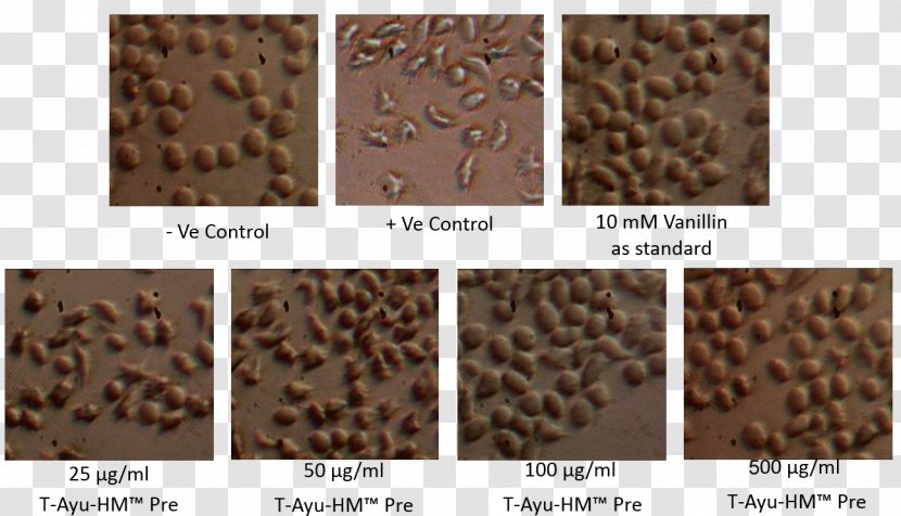 Material Flooring Chocolate - Brown Transparent PNG