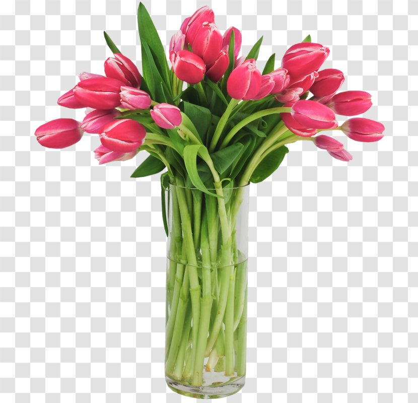 Tulip Cut Flowers Animaatio - Computer Graphics Transparent PNG