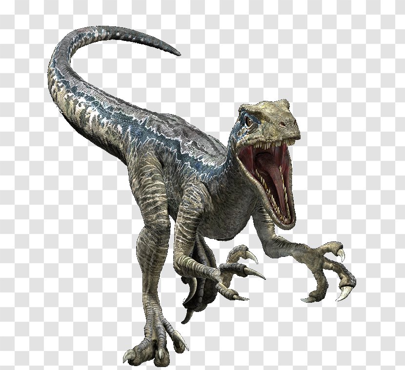 Tyrannosaurus Jurassic World Evolution Velociraptor Carnotaurus - Fallen Kingdom Transparent PNG