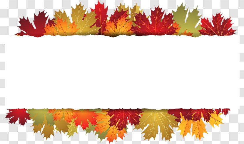 Autumn Leaf Clip Art - Petal - Yellow Maple Transparent PNG