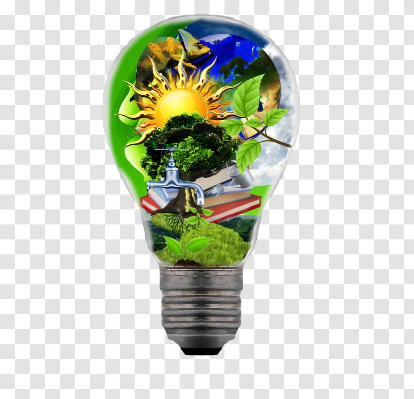 Searchlight Flowerpot Incandescent Light Bulb Plant Transparent PNG