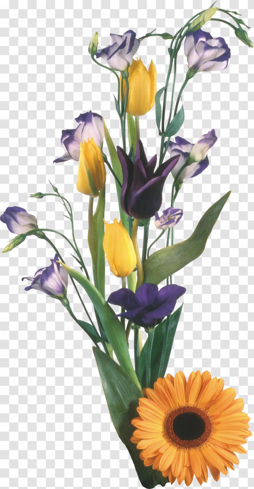 Cut Flowers Floral Design Floristry Flower Bouquet - Tulip Transparent PNG