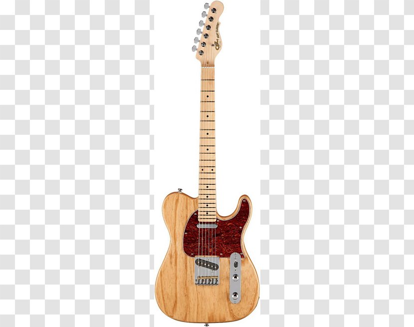 Fender Telecaster Thinline Stratocaster American Professional Musical Instruments Corporation - Instrument - Electric Guitar Transparent PNG