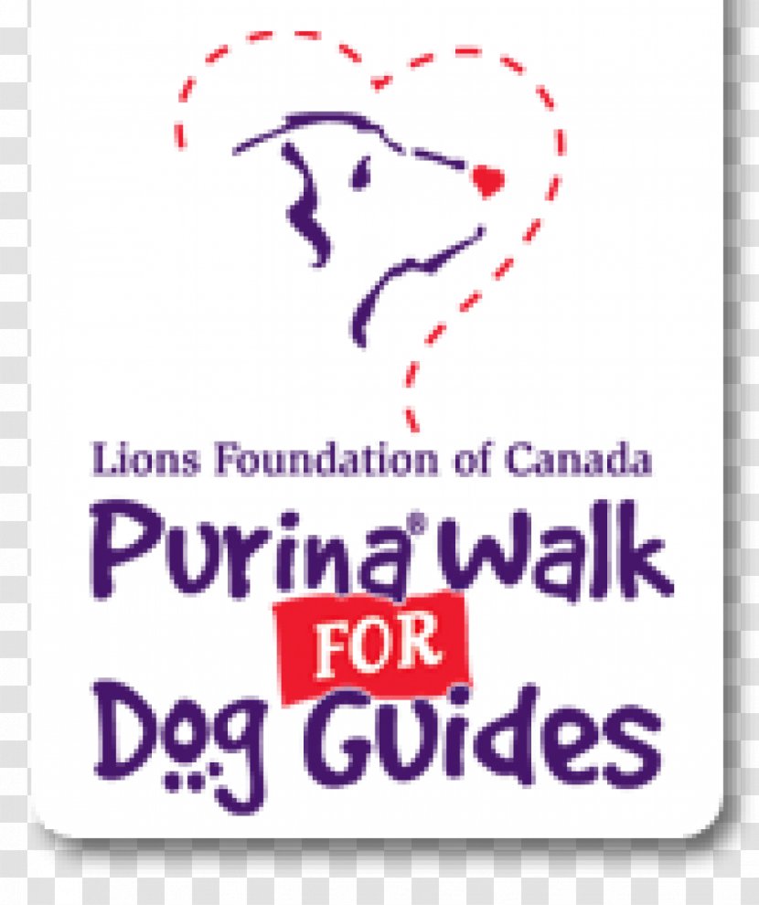 Guide Dog Labrador Retriever Pet Sitting Lions Foundation Of Canada Guides - Happiness - Walking Transparent PNG
