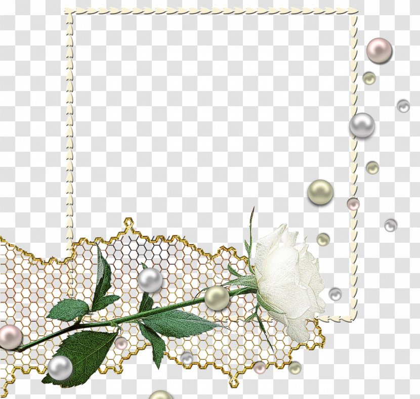 Pearl Body Jewellery Necklace Picture Frames Flower Transparent PNG
