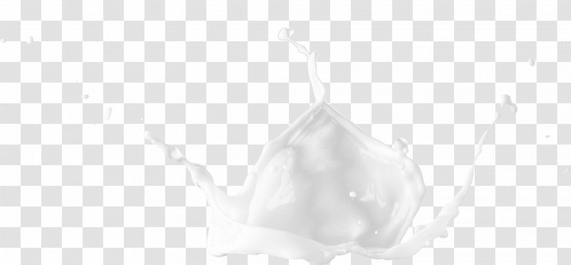 Black And White Pattern - Petal - Milk Transparent PNG