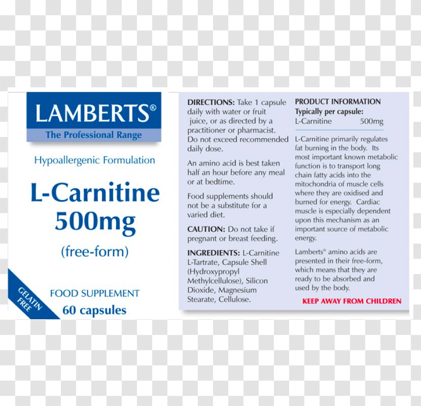 Dietary Supplement Vitamin Levocarnitine Acetylcarnitine Nutrition - Ginkgo Biloba Leaf Transparent PNG