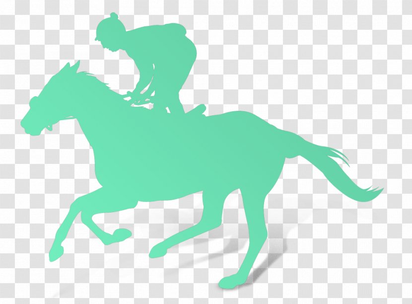 Thoroughbred Stock Photography Arabian Horse Racing Equestrian - Tail - Celtic Head Transparent PNG