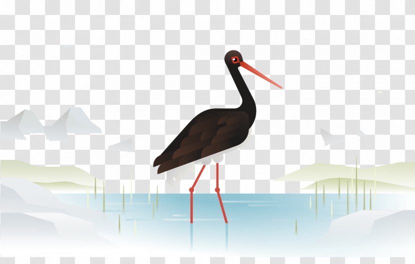 Crane Heron Bird Stork Wader - Redcrowned - Quiet Environment Black Transparent PNG