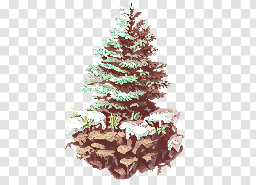 Christmas Tree - Woody Plant Transparent PNG