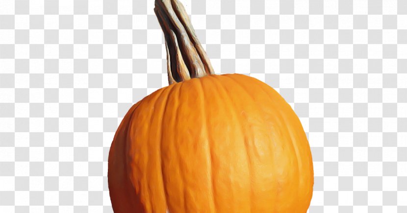 Pumpkin - Gourd - Food Transparent PNG