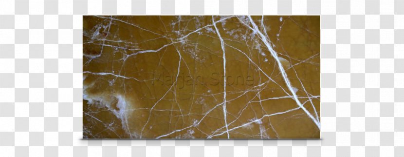 Painting Branching - Amber Stone Transparent PNG