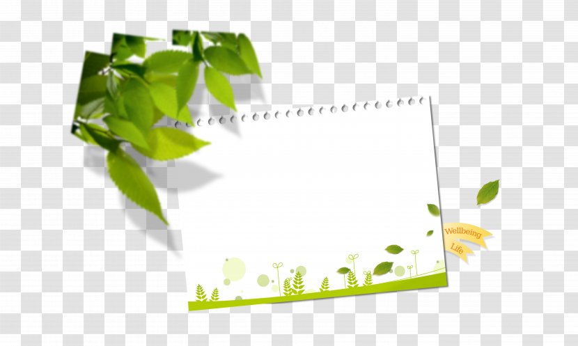 Paper Brand Graphic Design Wallpaper - Rectangle - Calendar Transparent PNG