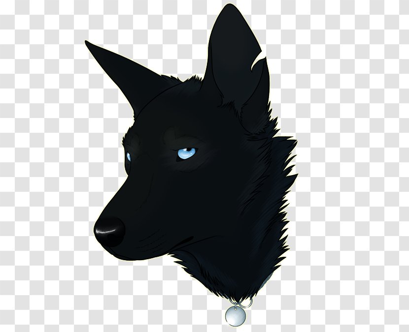 Dog Breed Schipperke Whiskers Snout Fur - Sully Transparent PNG