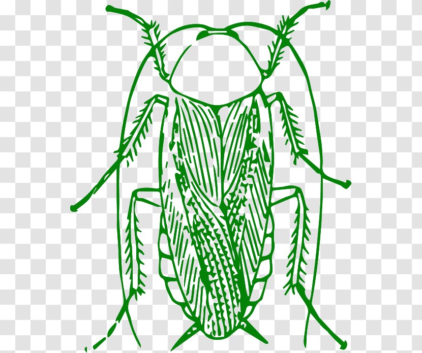 Cockroach Insect Clip Art Image Transparent PNG