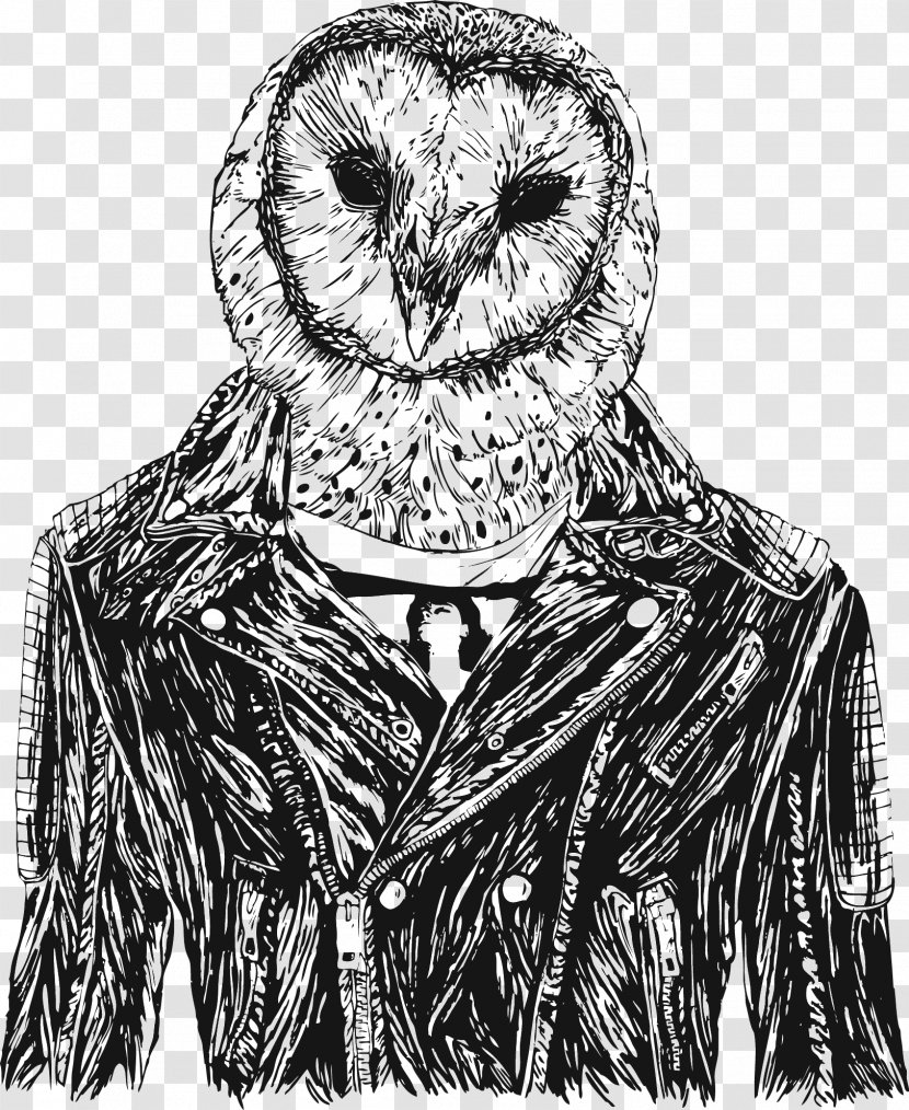 Owl Bird Drawing Jacket Art - Feather Transparent PNG