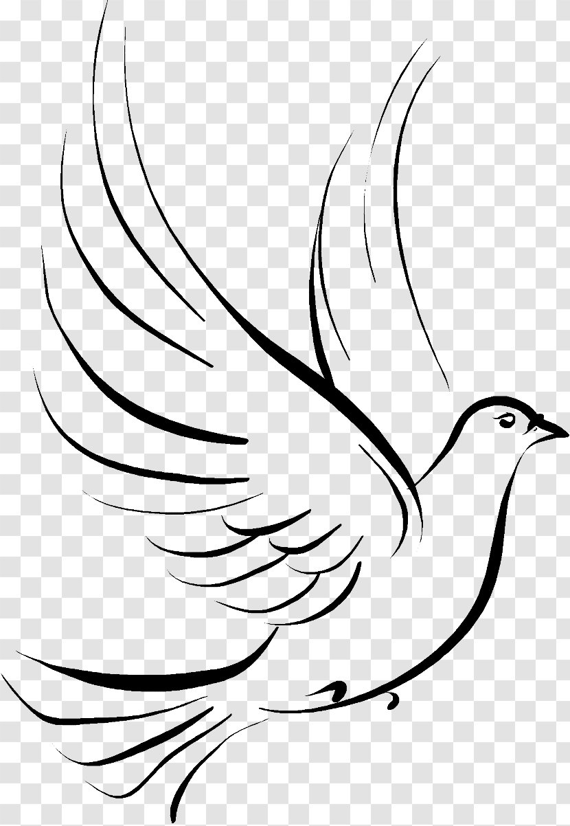 Columbidae Doves As Symbols Drawing Clip Art - Twig - Funeral Transparent PNG