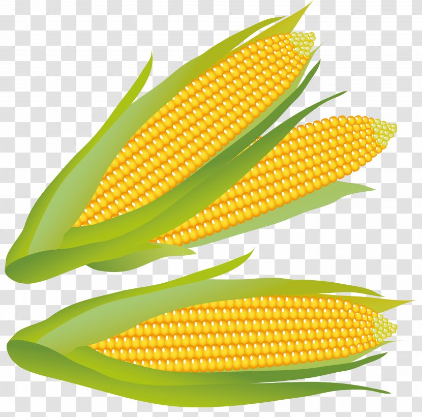 Maize Clip Art - Fruit - Corn Clipart Transparent PNG