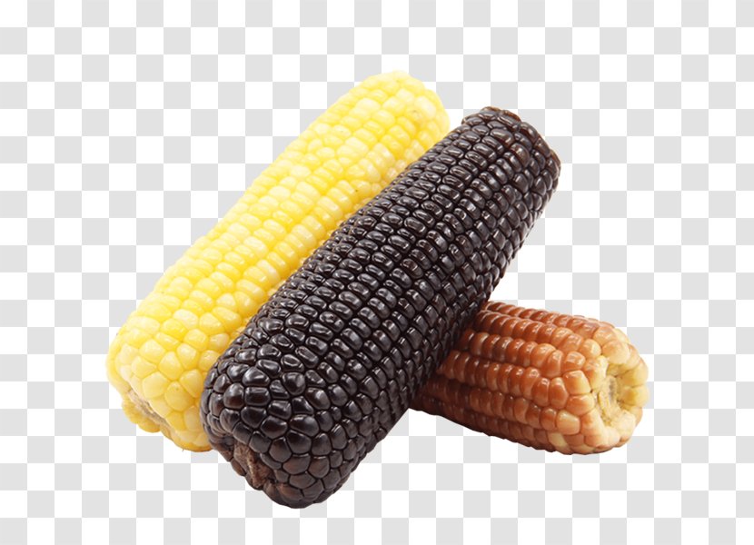 Corn On The Cob Waxy Organic Food Pudding Corncob - Tricolor Transparent PNG