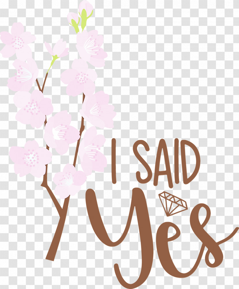 Floral Design Transparent PNG