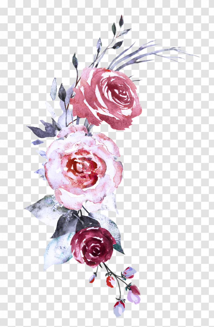 Garden Roses Transparent PNG