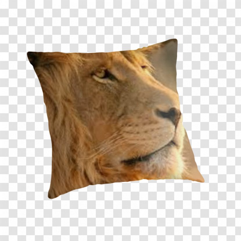 Throw Pillows Cushion Mac OS X Lion - Cat - Pillow Transparent PNG