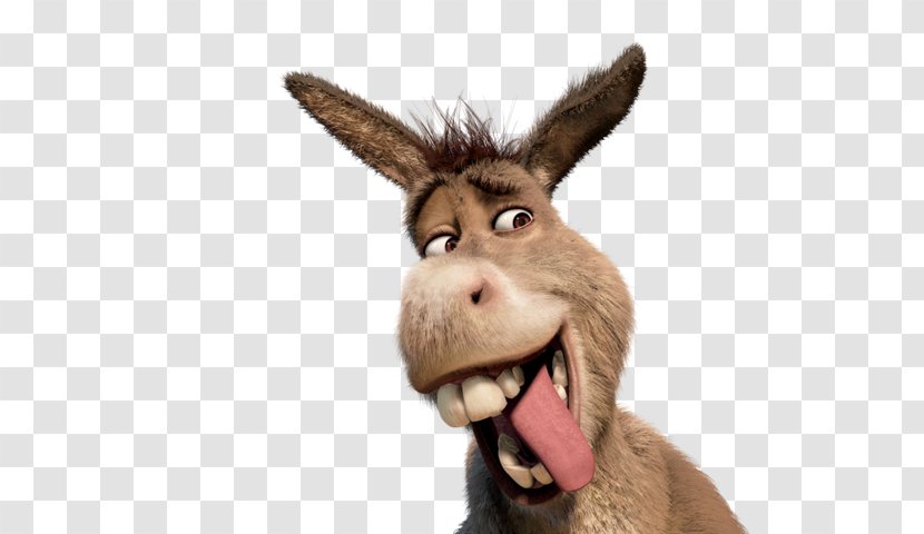 Donkey YouTube Shrek Film Series Animated - Youtube Transparent PNG