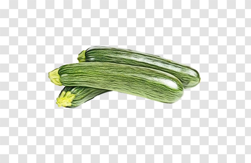 Vegetable Plant Armenian Cucumber Cucumis Food - Zucchini - Luffa Snake Gourd Transparent PNG