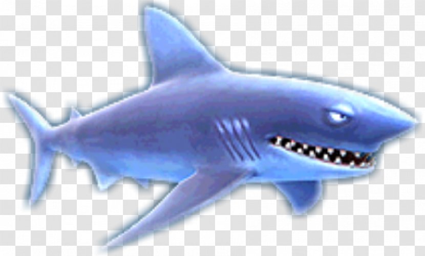Shark Jaws Hungry Evolution Isurus Oxyrinchus Longfin Mako - Sharks Transparent PNG