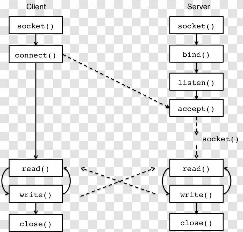 Network Socket Client–server Model Computer Servers User Datagram Protocol - Parallel - Rock 'n' Sock Connection Transparent PNG