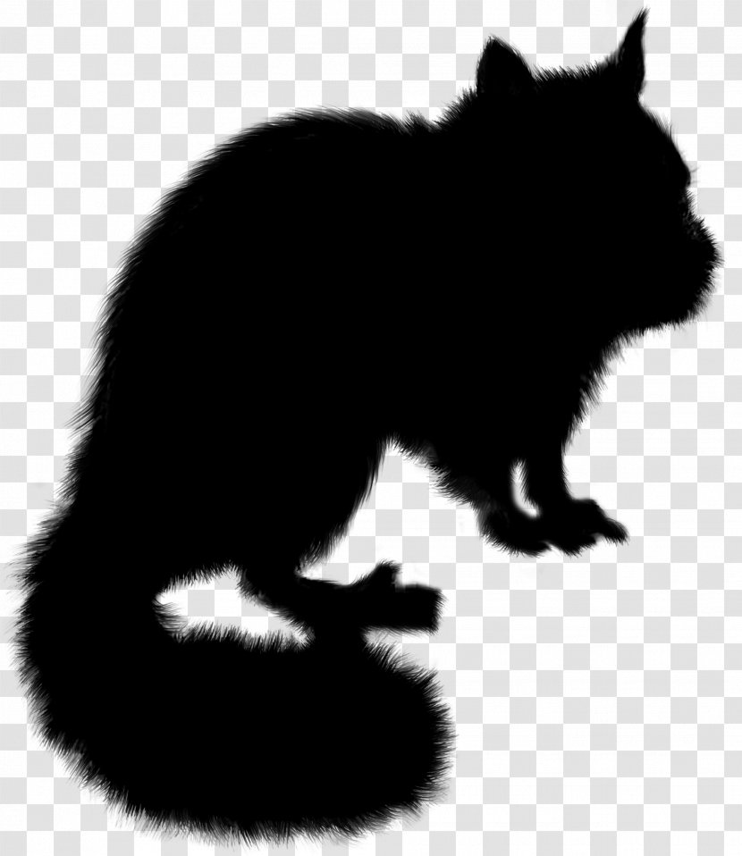 Whiskers Cat Raccoon Red Fox Bear - Fur Transparent PNG
