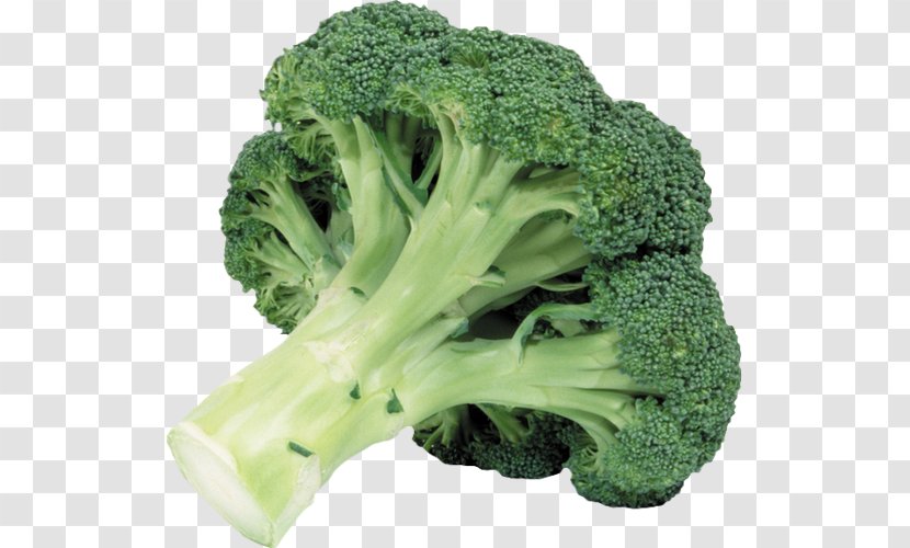 Broccoli Leaf Vegetable Food Cabbage - Human Iron Metabolism Transparent PNG